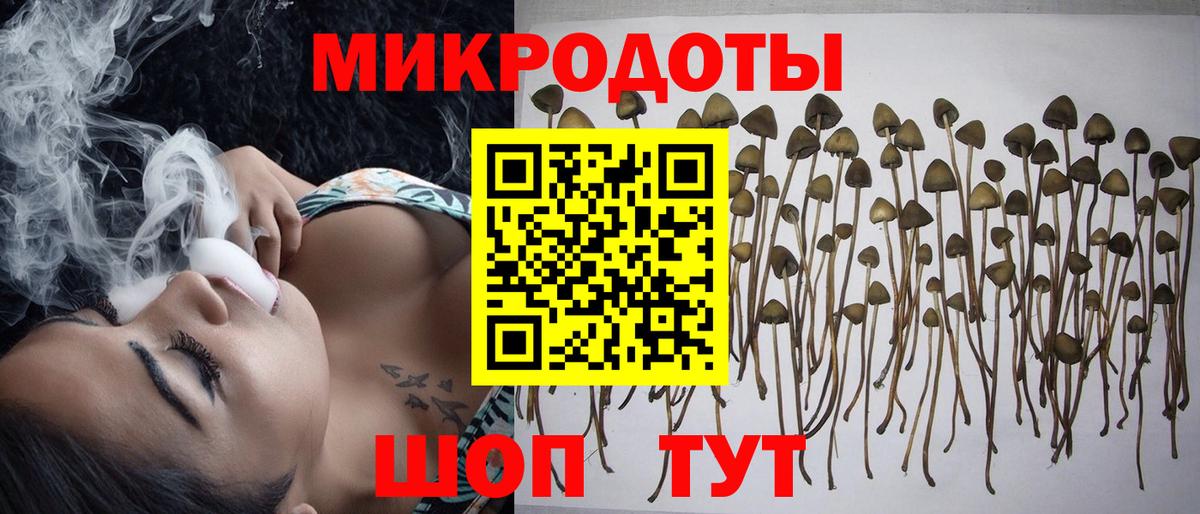 Псилоцибиновые грибы Psilocybine cubensis  Вход с VPN  Мелеуз 